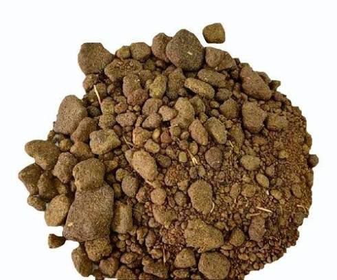 Rapeseed Meal (DOC) — de-oiled cake