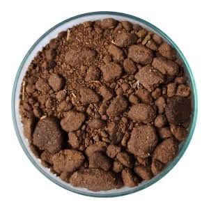 Rapeseed meal — granular DOC close-up