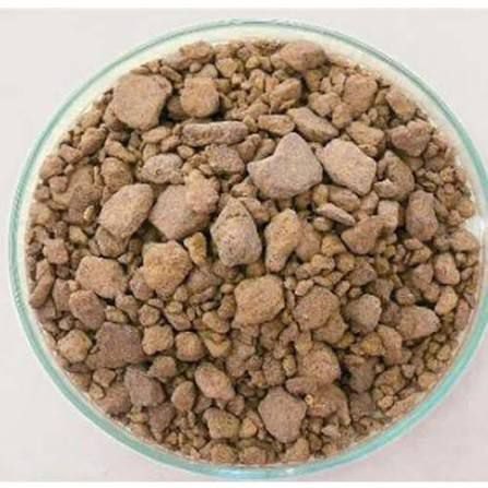 Rapeseed meal — sample