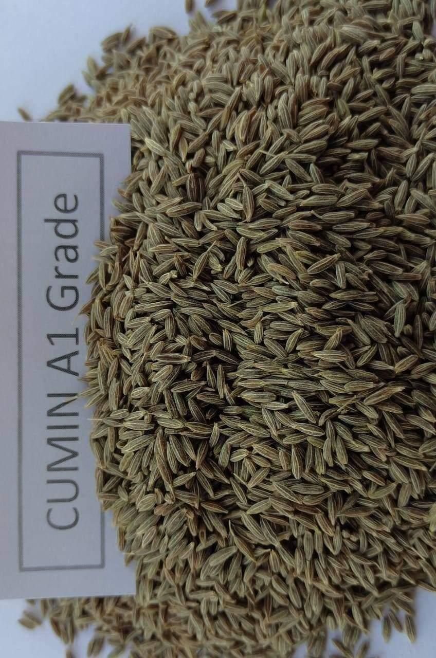 Indian cumin seeds (jeera)
